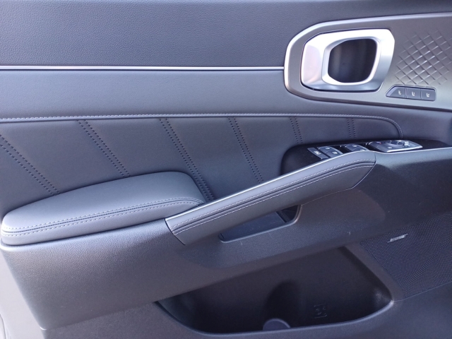 Sorento 1.6T PHEV / UPE: 74.060,- / PLATINUM 7S NAP PREM AHK