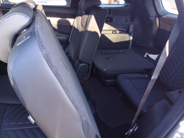 Sorento 1.6T PHEV / UPE: 74.060,- / PLATINUM 7S NAP PREM AHK