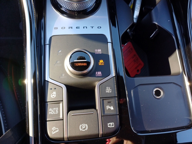 Sorento 1.6T PHEV / UPE: 74.060,- / PLATINUM 7S NAP PREM AHK